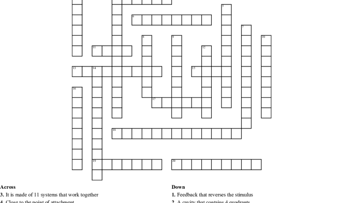 Anatomy and physiology crossword puzzle