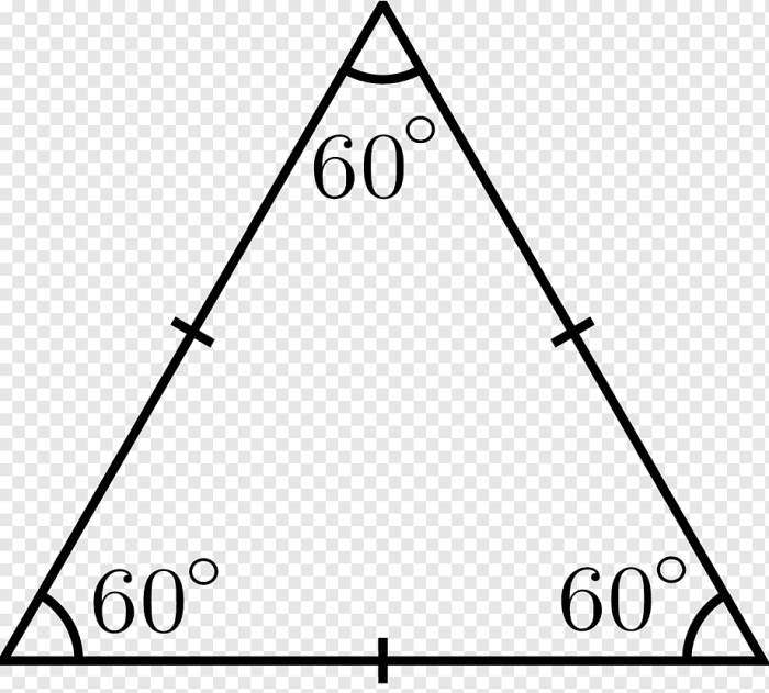 The drawing shows an equilateral triangle