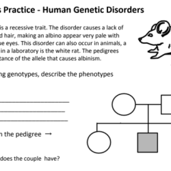 Pedigrees practice human genetic disorders answer key pdf