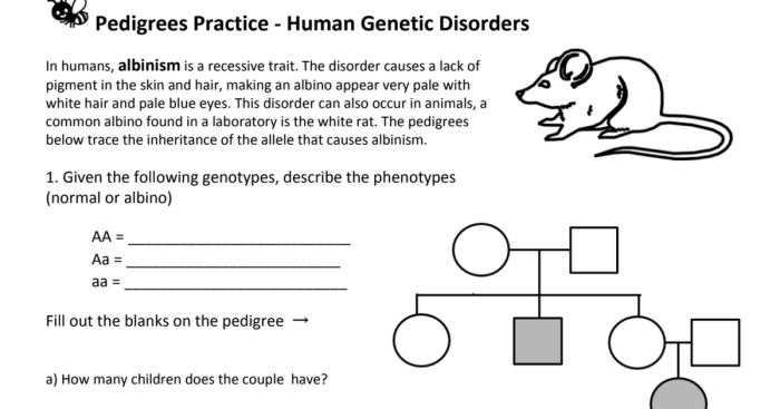 Pedigrees practice human genetic disorders answer key pdf