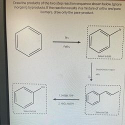 Draw the product of this reaction. ignore inorganic byproducts