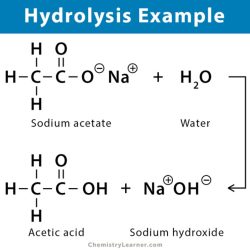 What products would be obtained from the following hydrolysis reactions