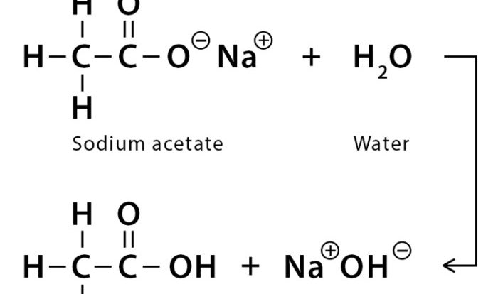 What products would be obtained from the following hydrolysis reactions