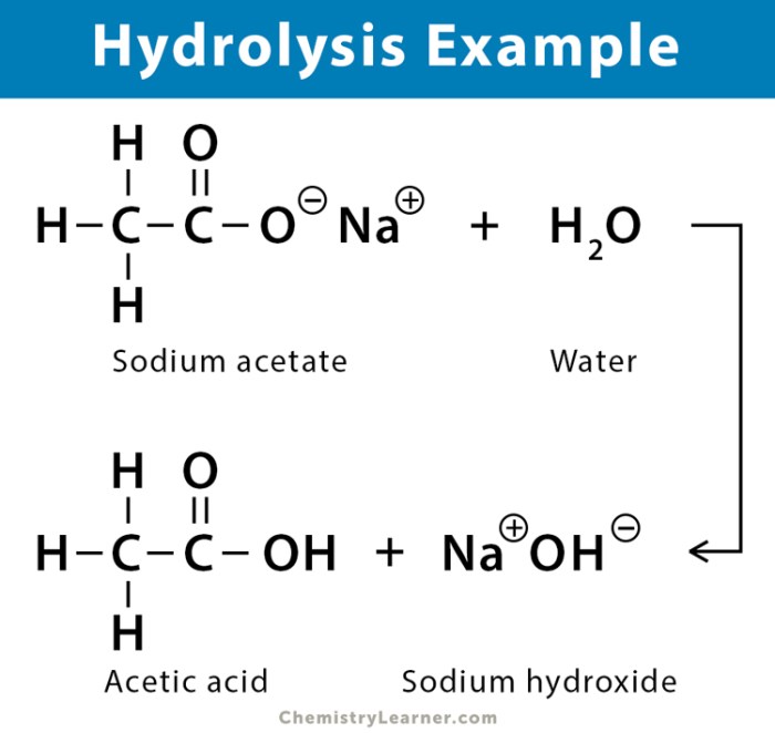 What products would be obtained from the following hydrolysis reactions