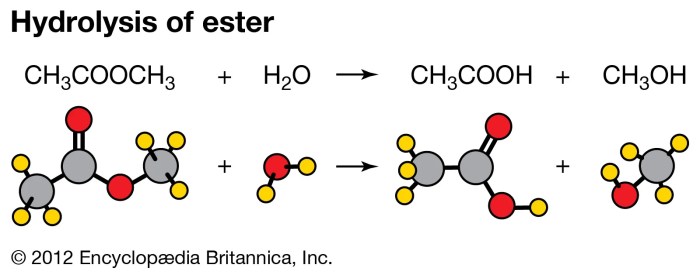 Would roboform password obtained hydrolysis unable periodic constants transcribed