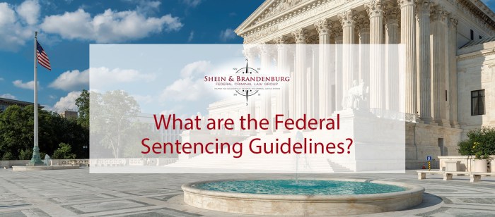 Federal sentencing guidelines established in 1991 sought to