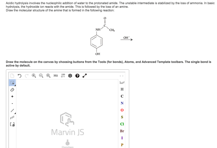 Obtained following would molecules choosing canvas draw reactions hydrolysis solved problem part bond buttons bonds toolbars atoms advanced active tools